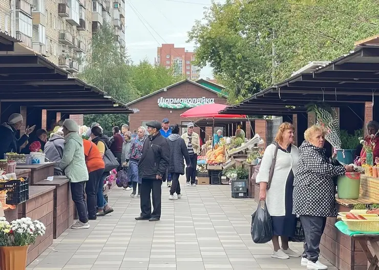 В Кировском районе Красноярска установили 8 новых прилавков для уличной торговли