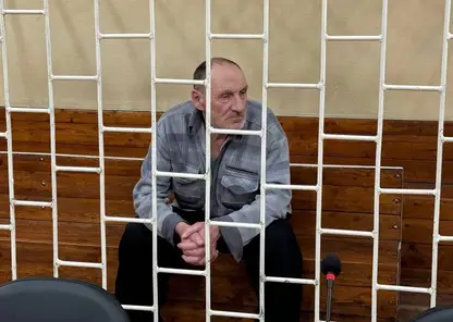 Суд назначил 19 лет колонии строгого режима жителю Красноярского края за убийство 6-летнего «монстра»