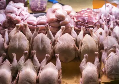 Жители Красноярского края едят больше всего мяса птицы