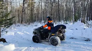 Красноярские спасатели снова вышли на поиски пропавшей семьей Усольцевых и обследовали 10 км леса. Какой результат?