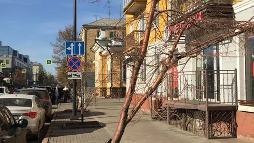 В Красноярске проспект Мира озеленят по-новому