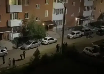 В Улан-Удэ живодёрки выбросили собаку с третьего этажа, а после устроили ночной дебош во дворе дома