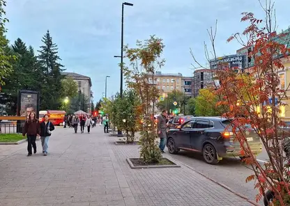 Первый снег может пойти в Красноярске уже завтра