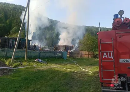 19 пожаров потушили в Красноярском крае за минувшие сутки