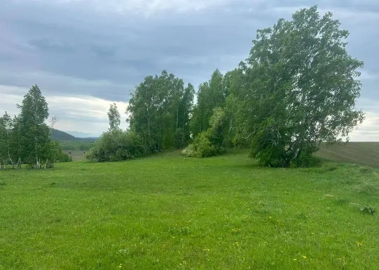 Сотрудники администрации Ермаковского района практически бесплатно предоставляли землю депутатам одного из сельсоветов: возбуждены уголовное дела