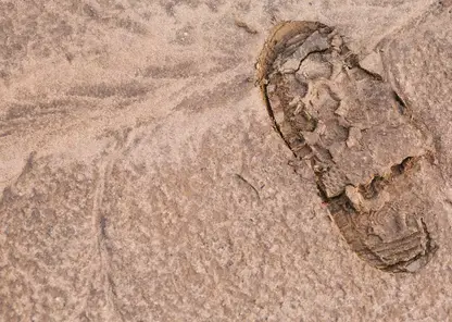 Красноярские археологи рассказали о малоизвестной коллекции редких ножей