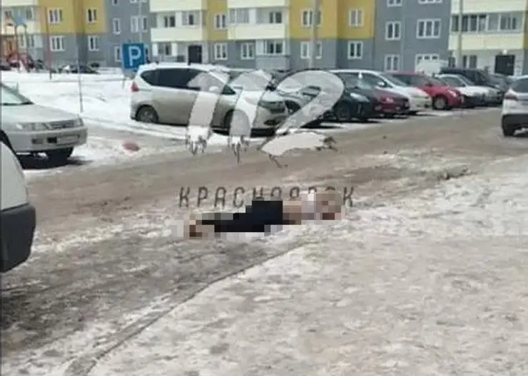 В красноярском Солнечном мужчина выпал из окна на одиннадцатом этаже