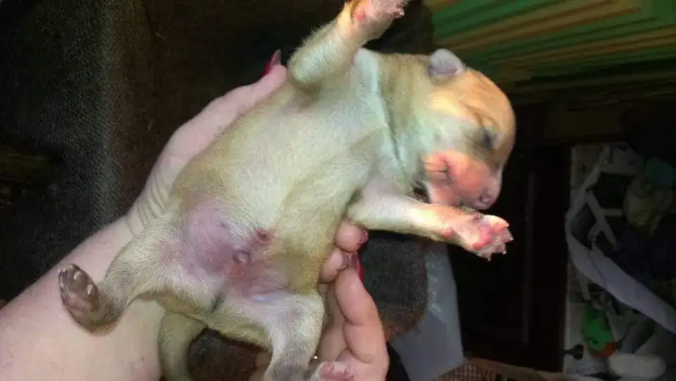 Фото: Марина Якубенко