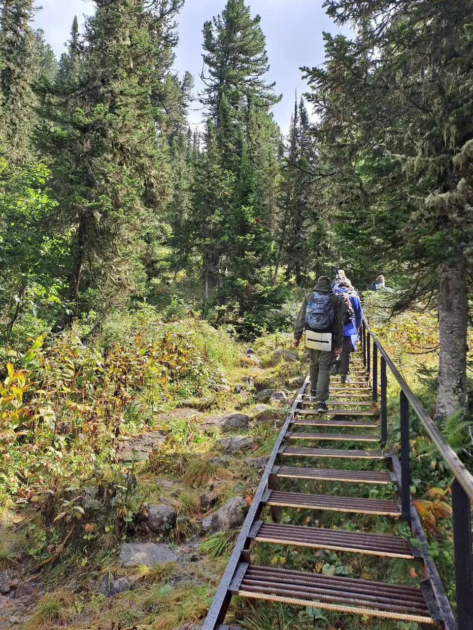 Фото: sibnovosti.ru