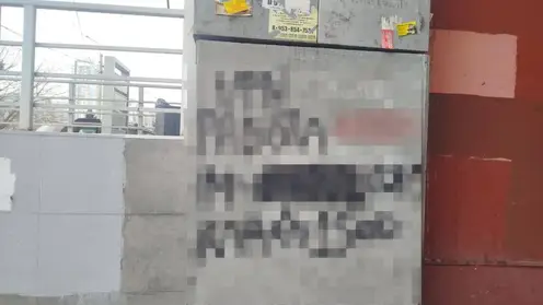 150 рублей за рисунок: красноярскому трафаретчику грозит до 20 лет тюрьмы за рекламу наркотиков