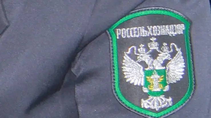 Красноярский ресторан спрятал от Россельхознадзора почти 700 кг продуктов и получил штраф