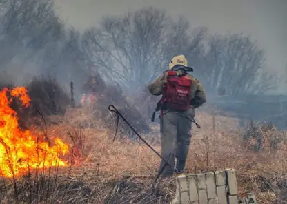 На границе Горно-Алтайска и Маймы пожар растянулся на 15 км