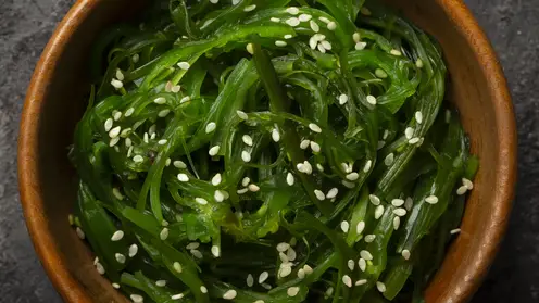 Морская капуста – кладезь йода и здоровья: удивительные свойства ламинарии