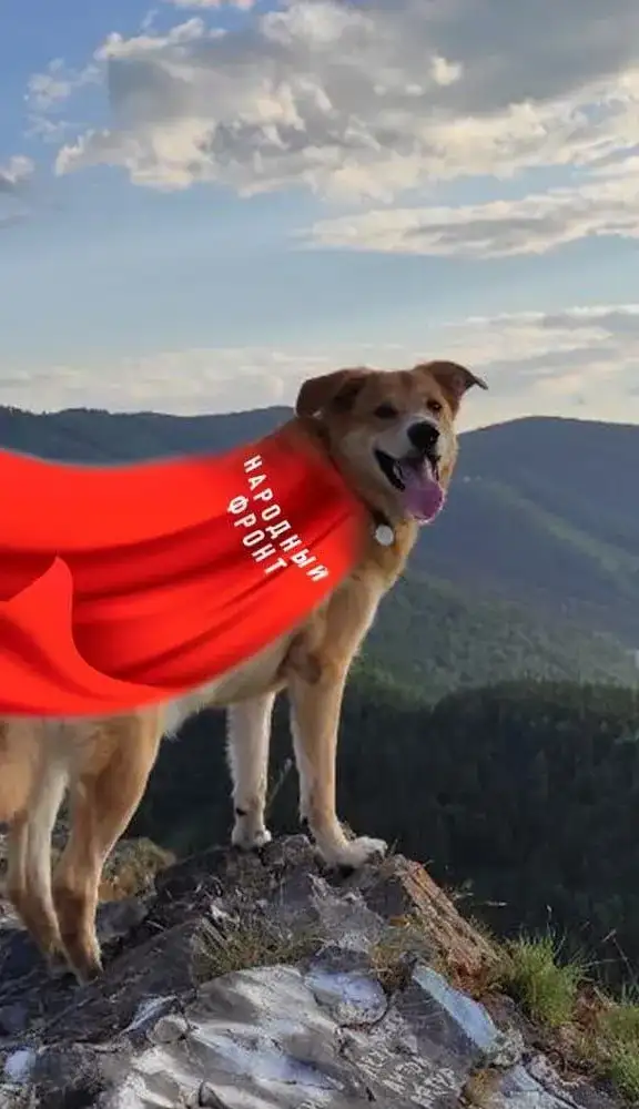 Фото: Марина Якубенко