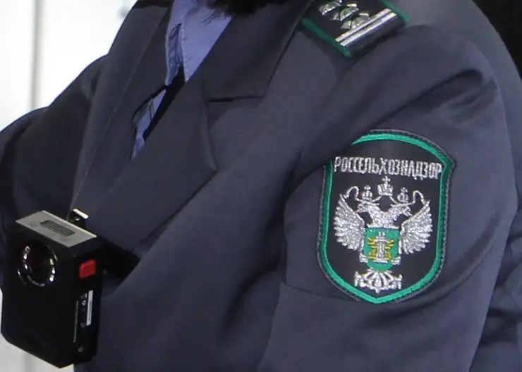 В Красноярске предприниматель произвел рыбу из ничего