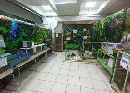 Суд в Красноярске запретил работу зоовыставки «Экзоферма» по всей России