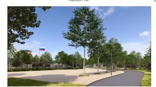 Патриотический парк намерены создать на острове Молокова в Красноярске