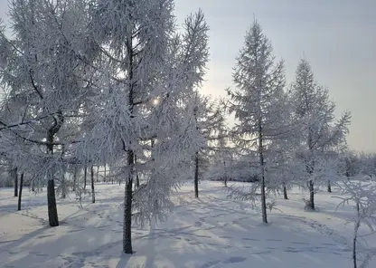 Снег и -22. Прогноз погоды на субботу, 24 января в Красноярске