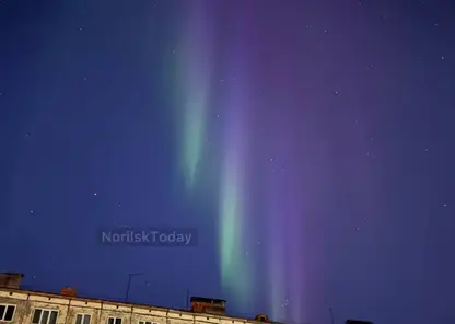 Жители Красноярского края наблюдали первое этой осенью северное сияние