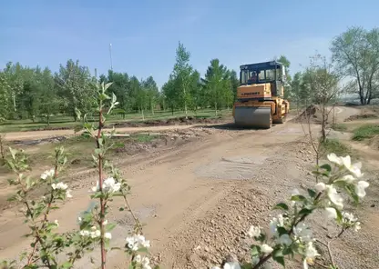 Мэр Сергей Еремин поручил сохранить деревья при благоустройстве сквера «Казачий» 