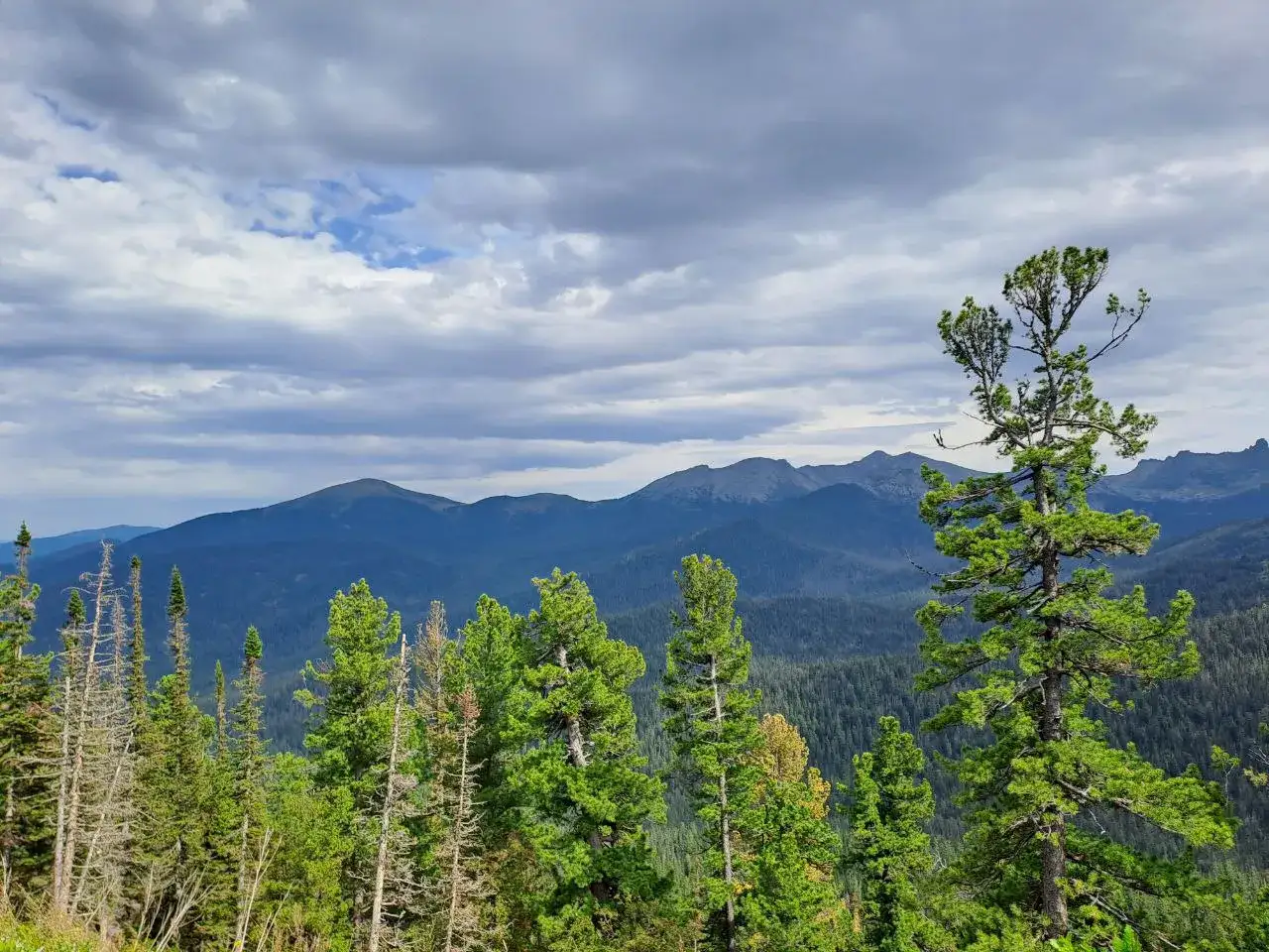 Фото: sibnovosti.ru