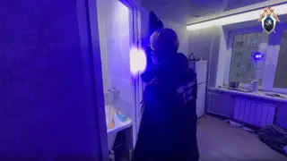 Тайна красноярской мумии: три месяца после жуткой находки — причина смерти матери и ребёнка до сих пор не установлена