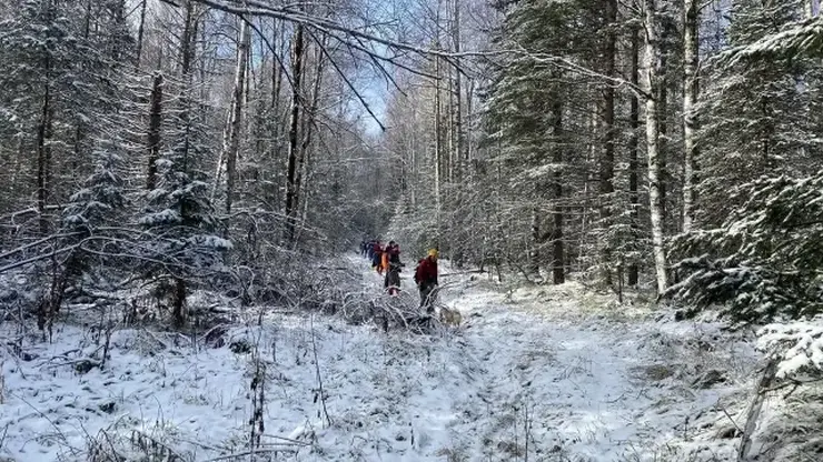 Эксперт по выживанию: у потерявшейся в тайге семьи Усольцевых пока неплохие шансы