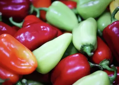 Почти 7 тонн перцев с вирусом сожгли в Красноярске