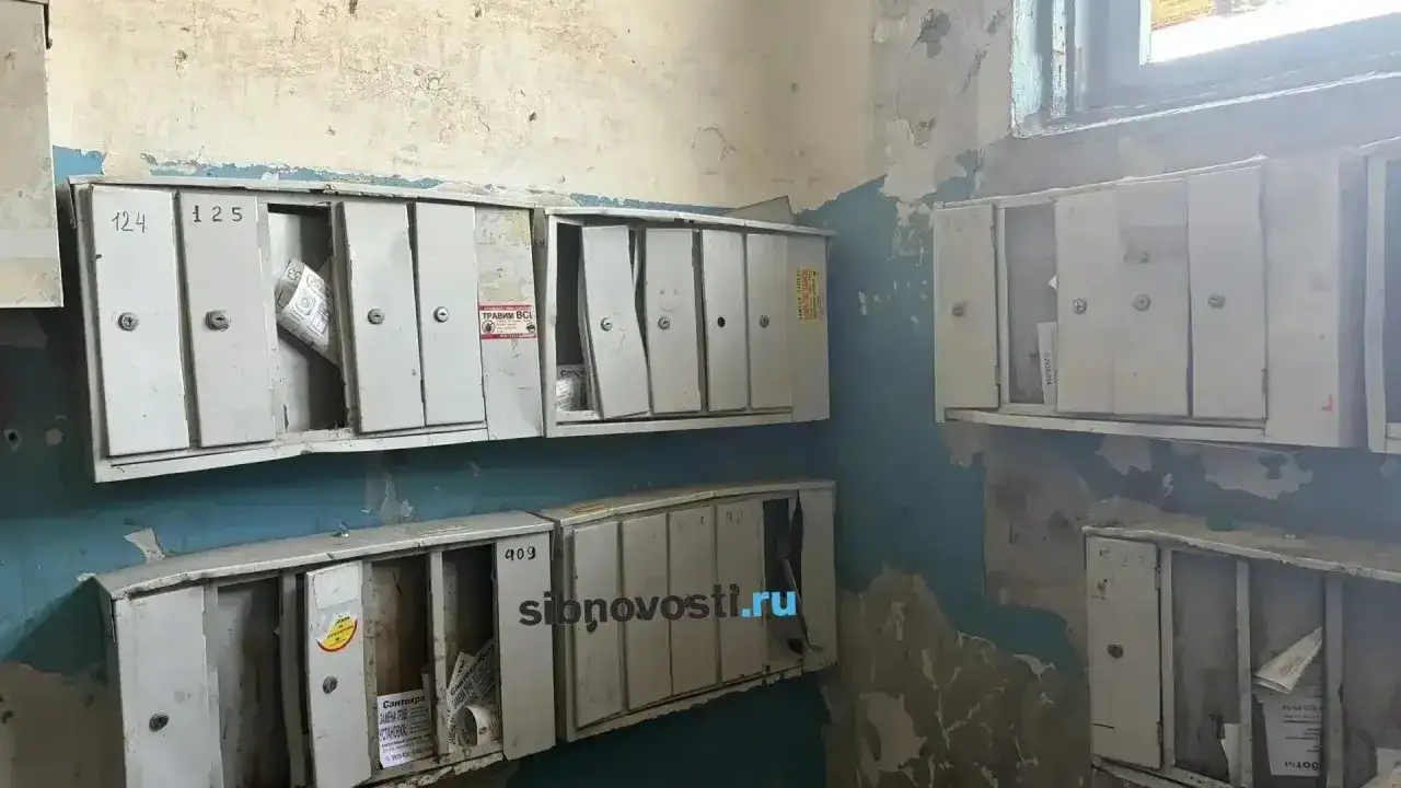 Фото: sibnovosti.ru