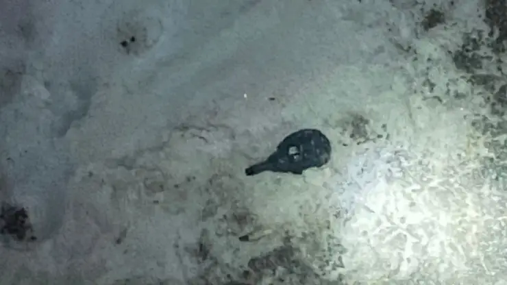 В Новосибирске хирург городской больницы подарил медсестре гранату