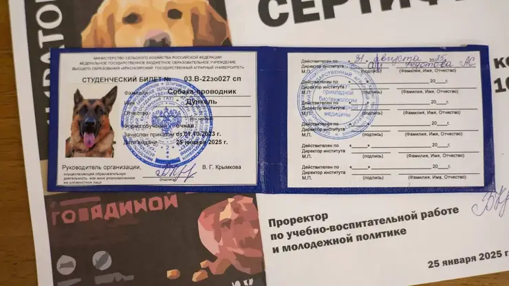 В Красноярске собаке выдали студенческий билет Аграрного университета