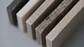 Красноярские ученые создали экологичные композиты из биоразлагаемого полимера и растительных отходов