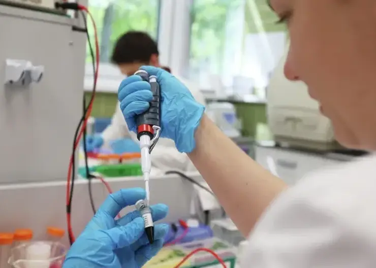 Омская область выделит 78,2 млн рублей на поддержку молодых учёных в 2026 году