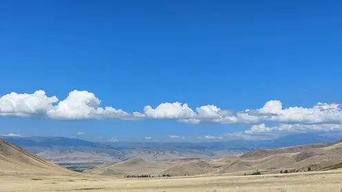 Археологи «Большого Алтая» впервые начнут раскопки в Кыргызстане