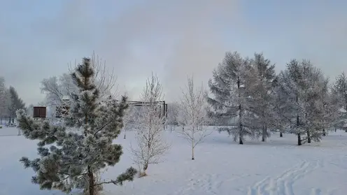 То снег, то солнце: прогноз погоды на неделю в Красноярске