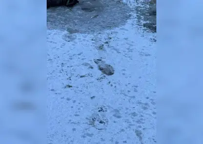 Четырехлетний мальчик утонул в реке в Хакасии