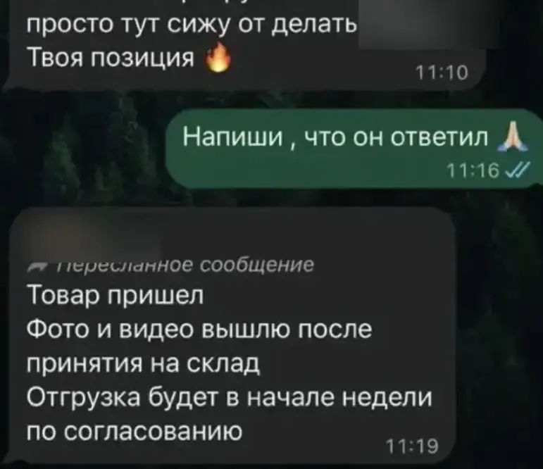 Фото: МВД 24
