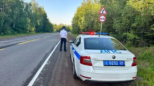 Под Красноярском из-за выезда на встречку пострадали два человека