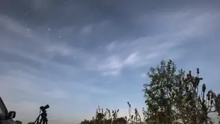 Гороскоп на 14 августа для всех знаков зодиака