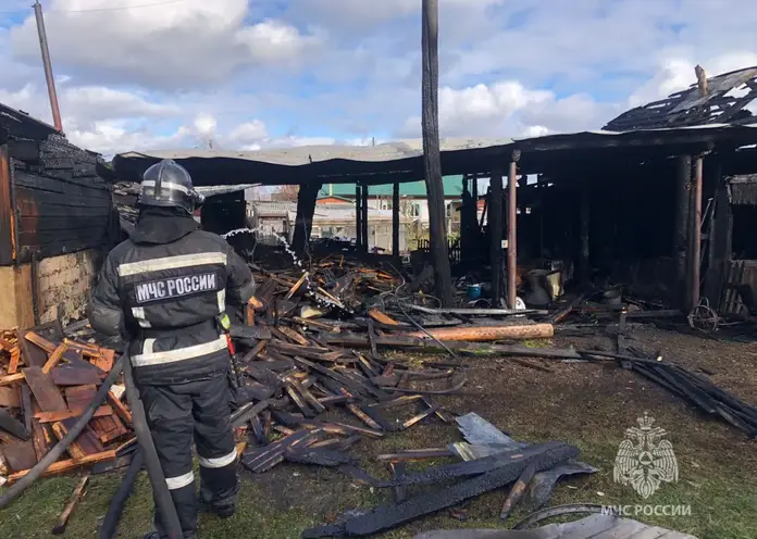 В Красноярском крае за сутки потушено 12 пожаров, травмирован один человек