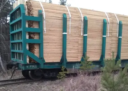 Жителя Канска осудят за контрабанду леса больше чем на 28 млн рублей