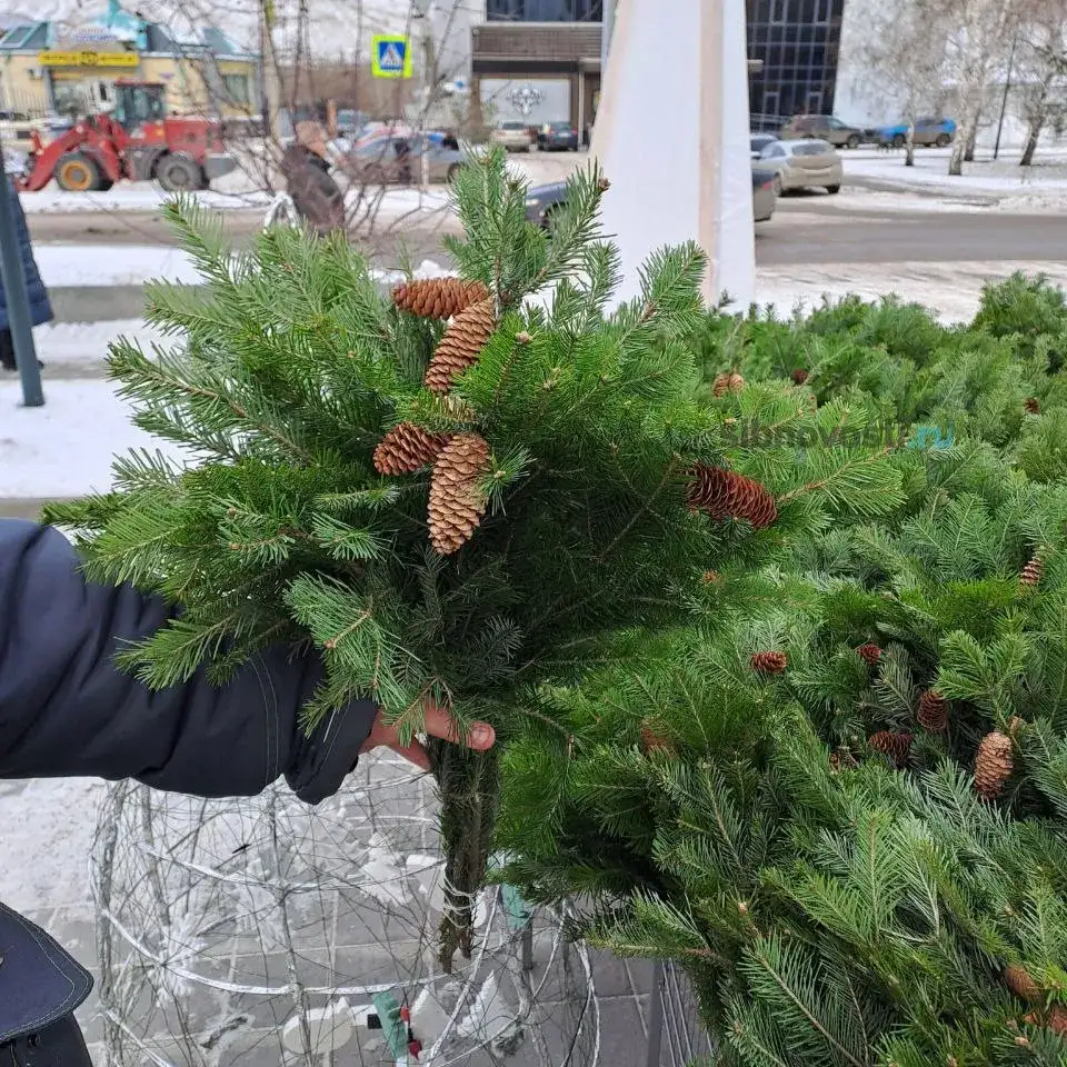 Фото: sibnovosti.ru