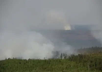 Противопожарный режим отменили в большинстве районов Красноярского края