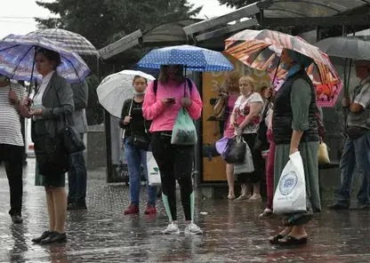 В Красноярске на новой рабочей неделе прогнозируют дожди и комфортную температуру
