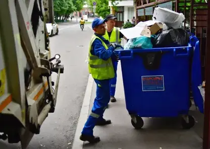Ветки и трава в контейнерах под запретом — вступили в силу новые правила обращения с отходами