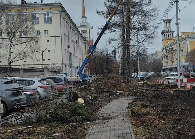 «Зато будет метро». Урбанистка раскритиковала вырубку деревьев в Красноярске