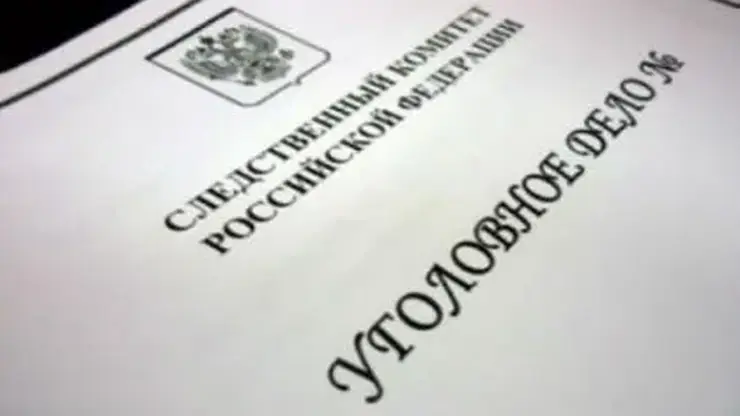 Снег и наледь обрушились с крыши на 16-летнюю девушку в Томске: возбуждено уголовное дело