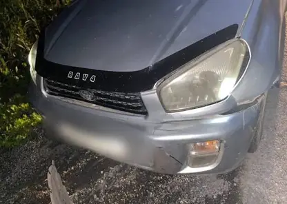 В Ачинском районе произошло ДТП с участием косули