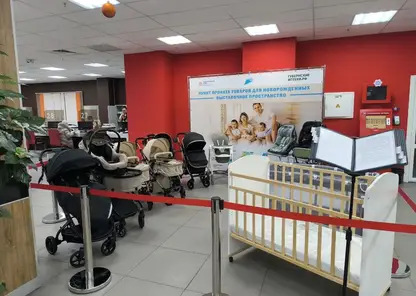 Пункт проката предметов первой необходимости для новорождённых открыли в Красноярске
