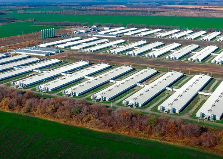 «Сибагро» снова в тройке лучших!